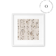 Birch And Owls White Cuadro