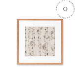 Birch And Owls White Cuadro