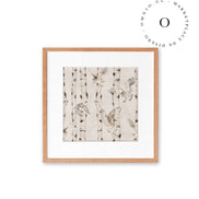 Birch And Owls White Cuadro