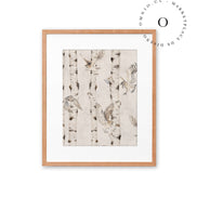 Birch And Owls White Cuadro