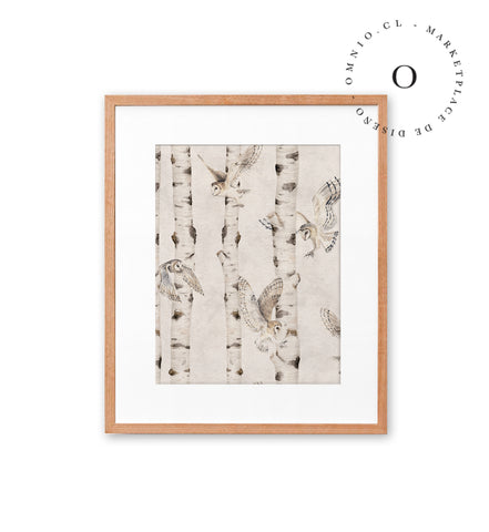 Birch And Owls White Cuadro