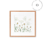 Dazzling Daisies Cuadro