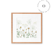 Dazzling Daisies Cuadro