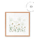 Dazzling Daisies Cuadro