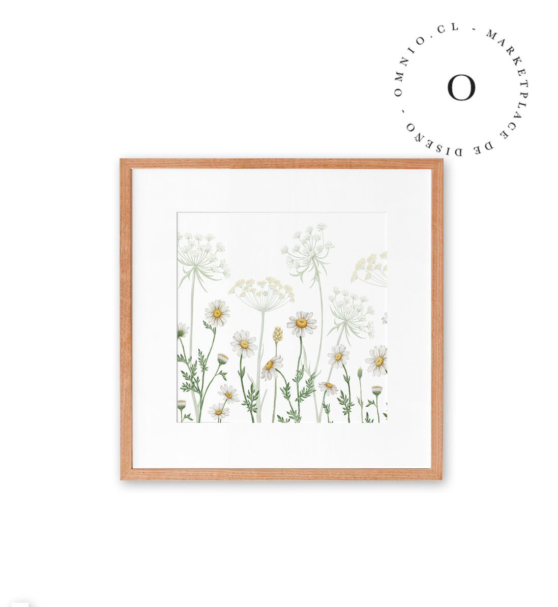 Dazzling Daisies Cuadro