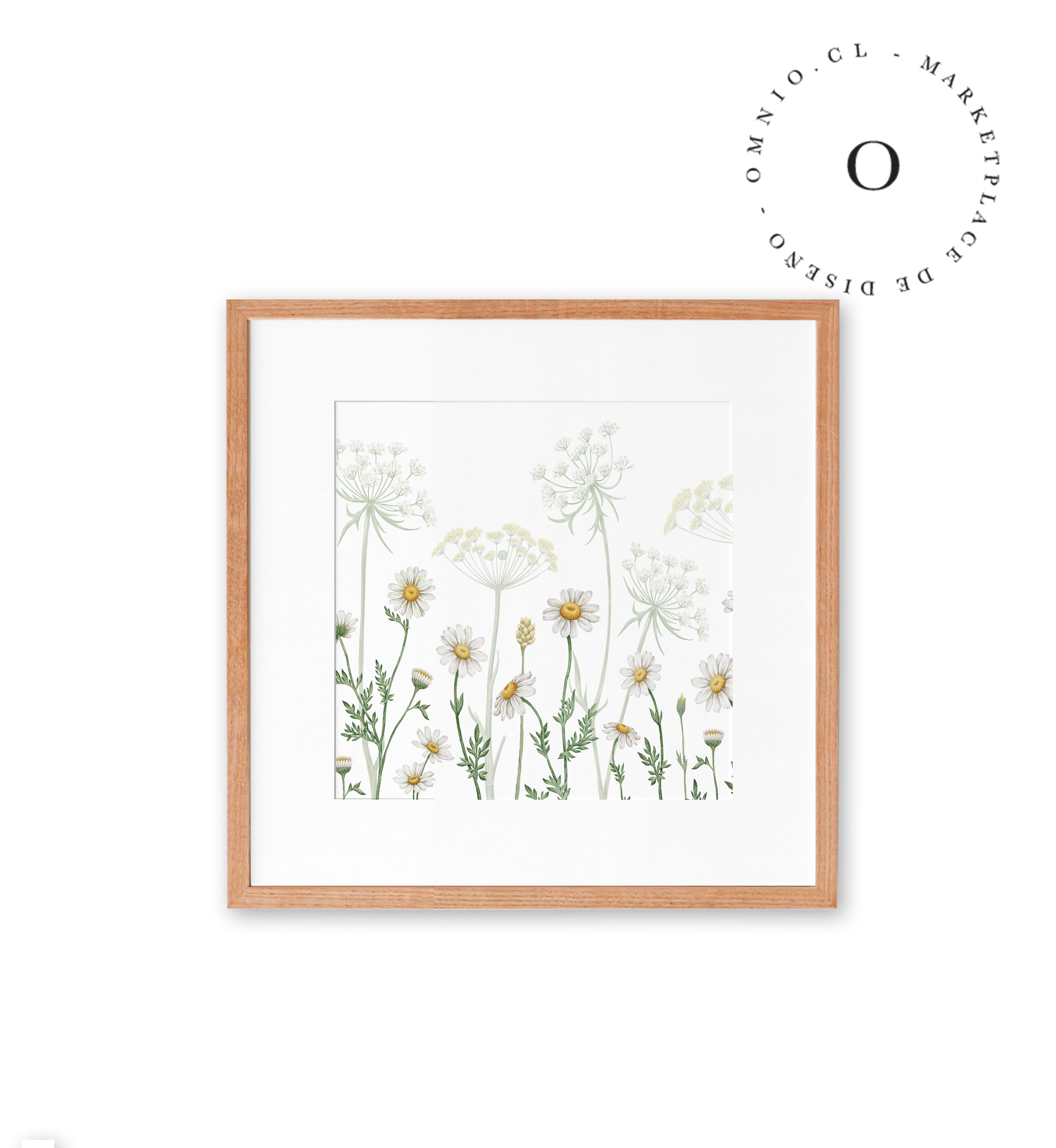 Dazzling Daisies Cuadro