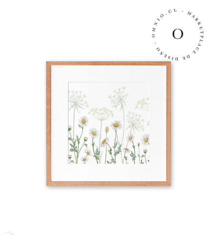 Dazzling Daisies Cuadro