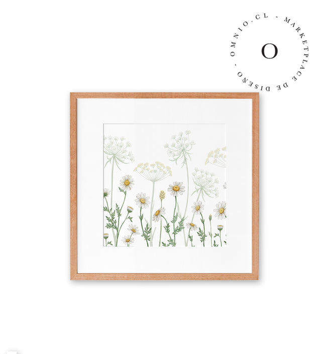 Dazzling Daisies Cuadro