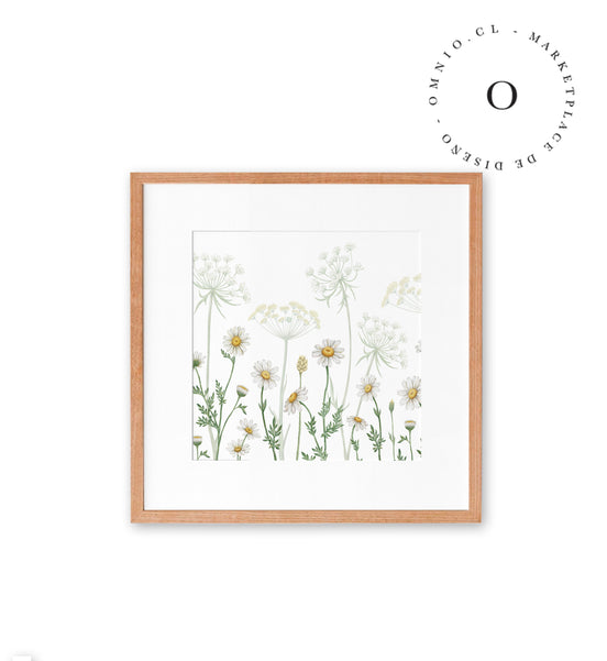 Dazzling Daisies Cuadro