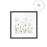 Dazzling Daisies Cuadro