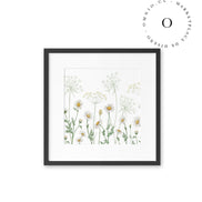 Dazzling Daisies Cuadro