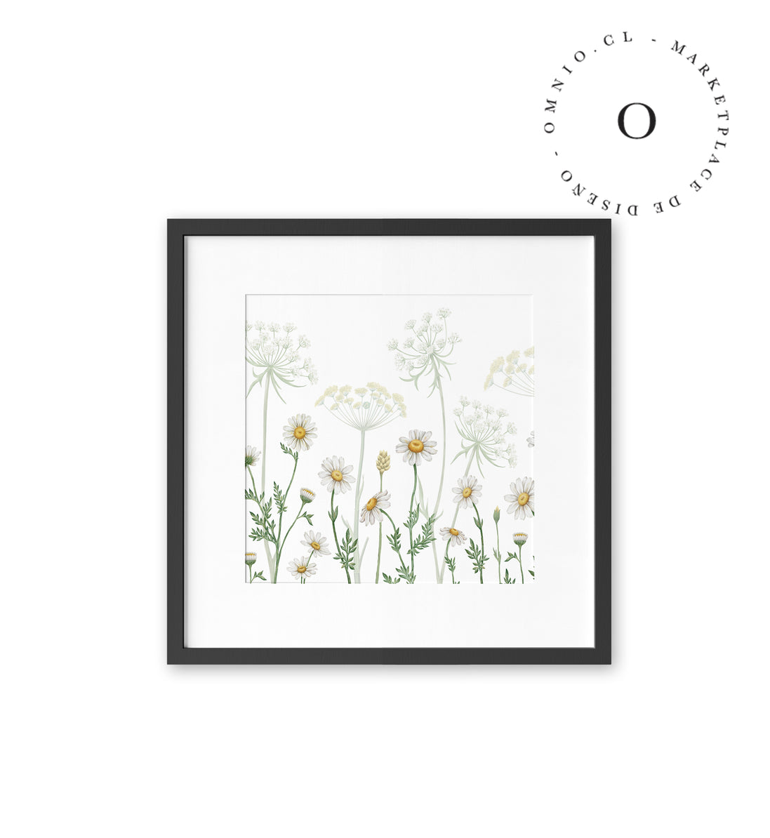 Dazzling Daisies Cuadro