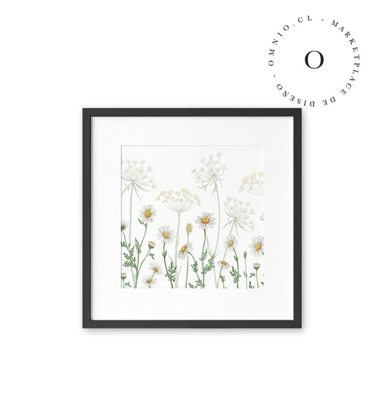 Dazzling Daisies Cuadro