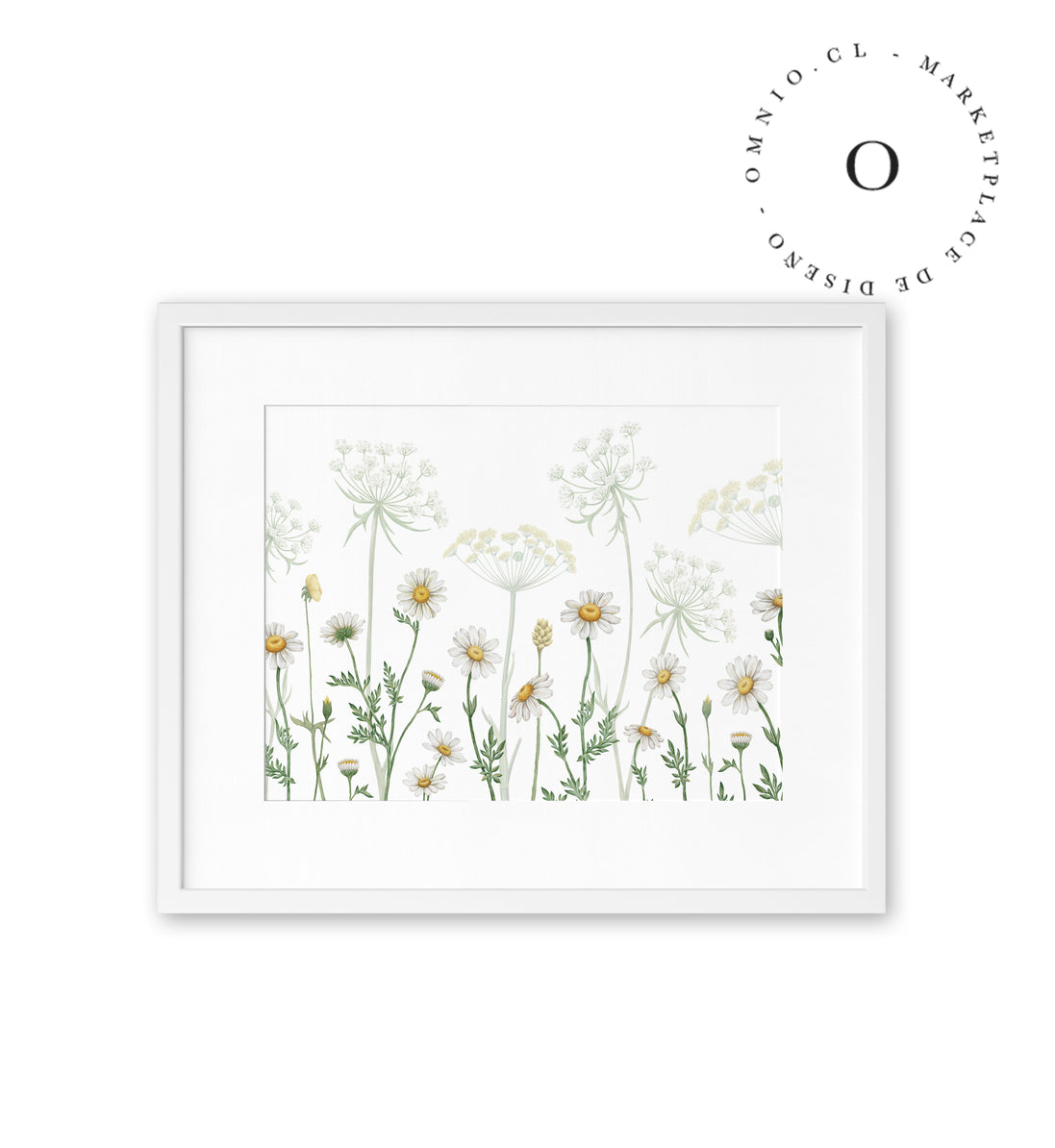 Dazzling Daisies Cuadro