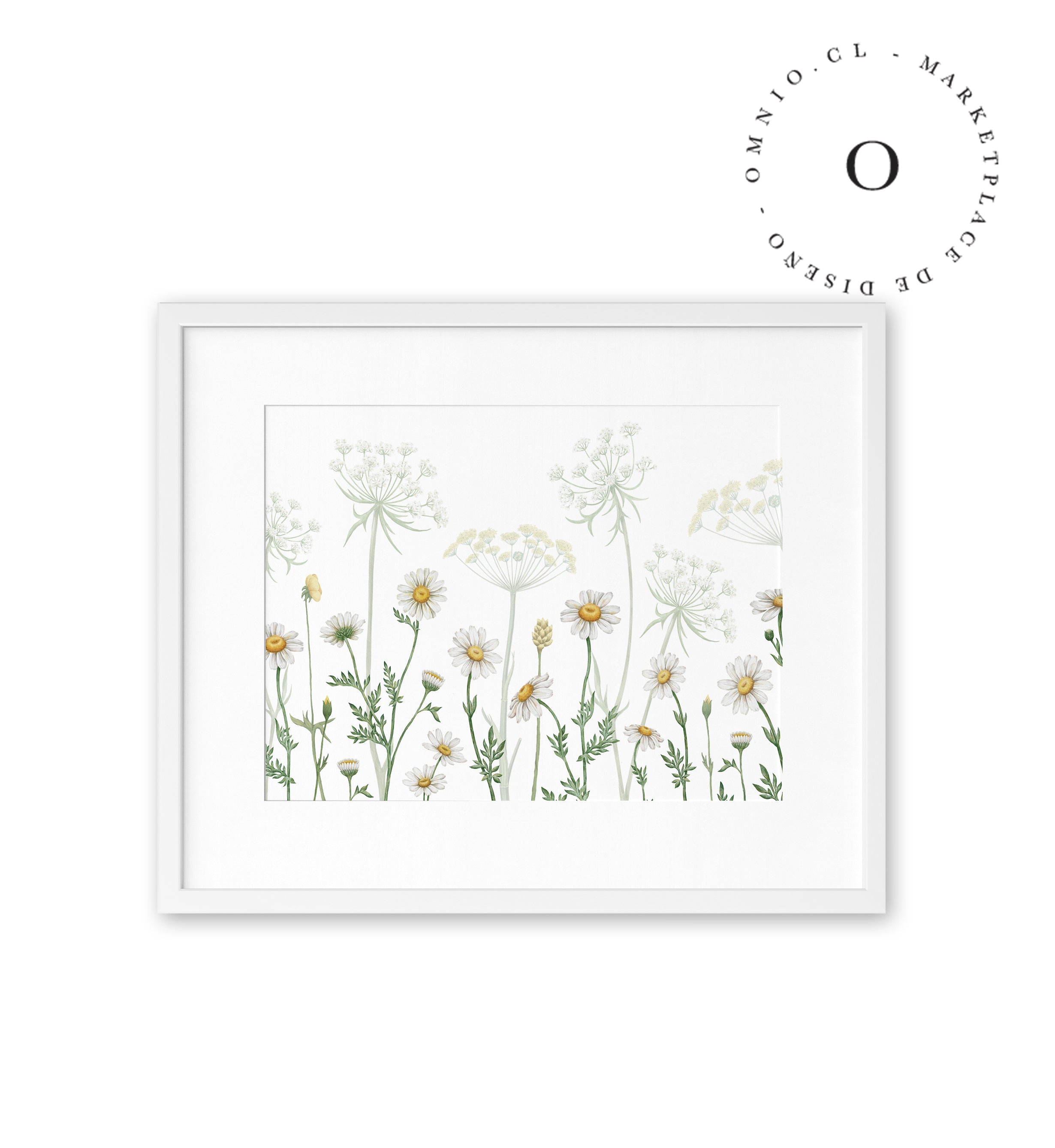 Dazzling Daisies Cuadro