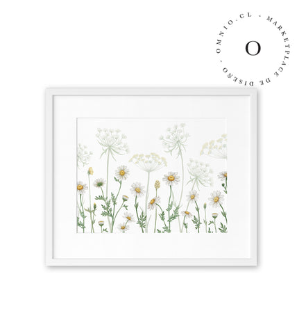 Dazzling Daisies Cuadro