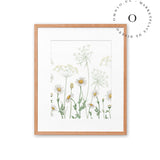 Dazzling Daisies Cuadro