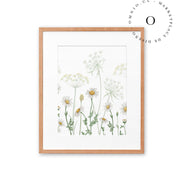 Dazzling Daisies Cuadro