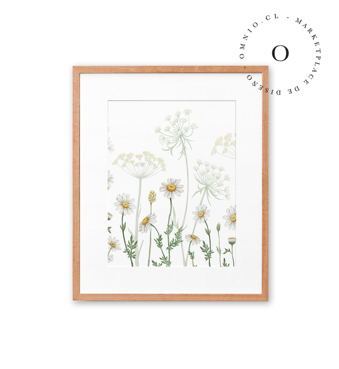 Dazzling Daisies Cuadro