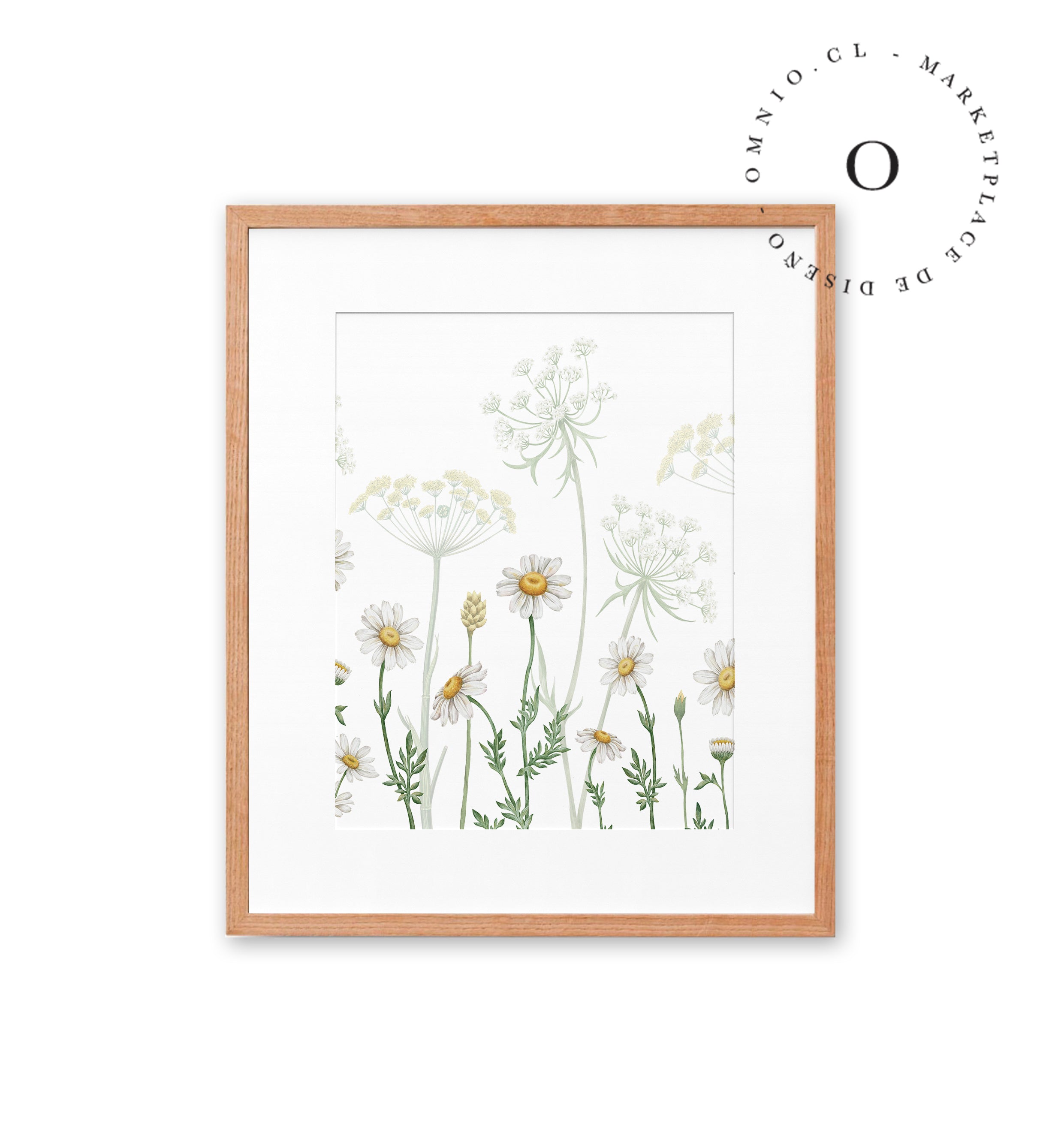 Dazzling Daisies Cuadro