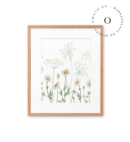 Dazzling Daisies Cuadro