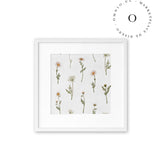 Dreamy Daisies Cuadro