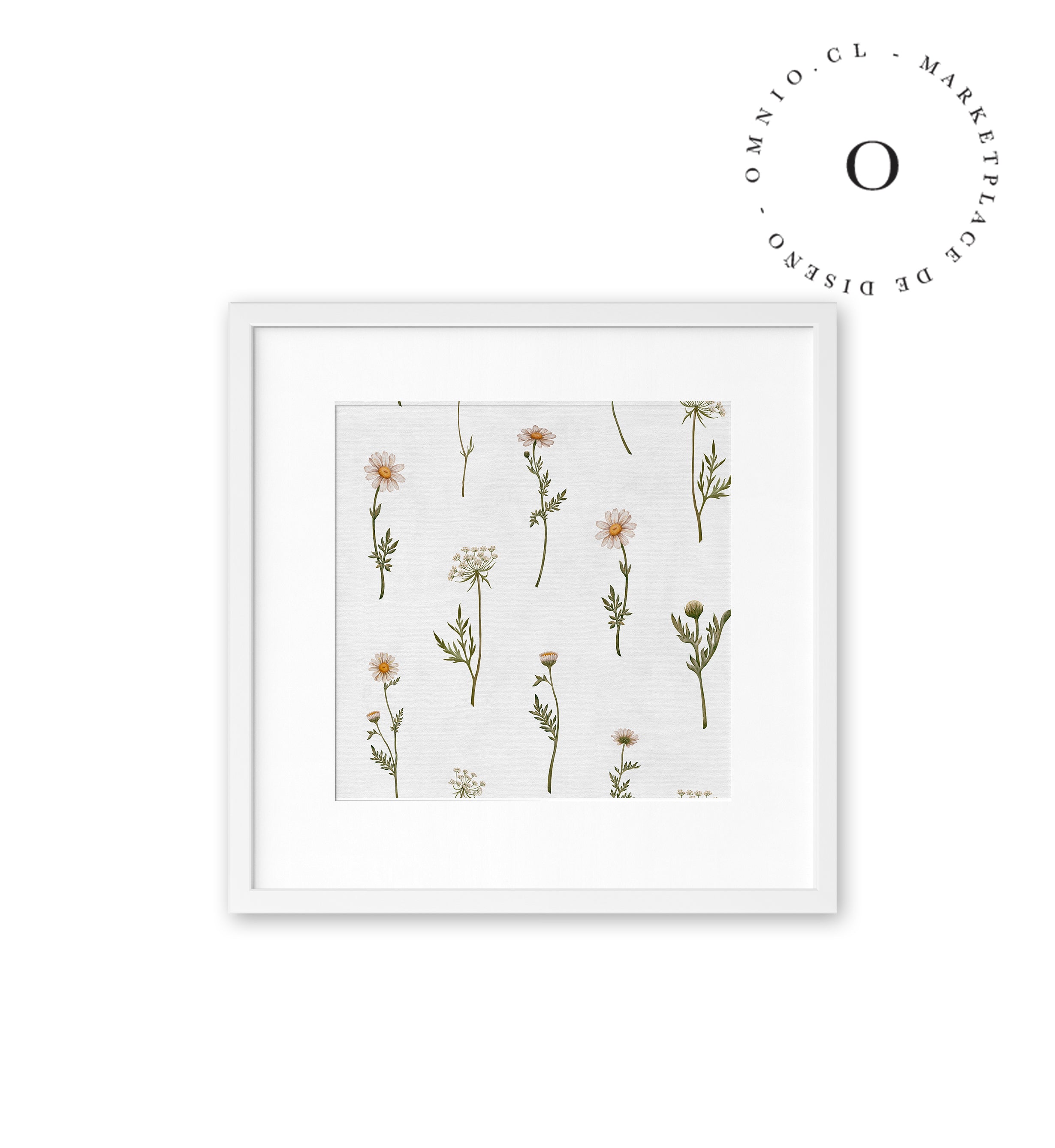 Dreamy Daisies Cuadro