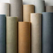 Graphite / The Wall Colors