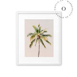 Soft Pink Palmera Cuadro
