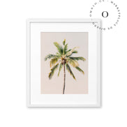 Soft Pink Palmera Cuadro
