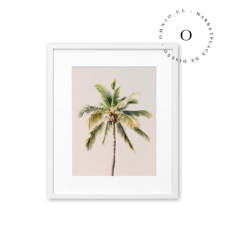 Soft Pink Palmera Cuadro