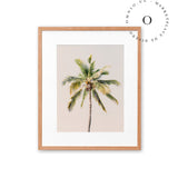 Soft Pink Palmera Cuadro