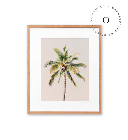 Soft Pink Palmera Cuadro