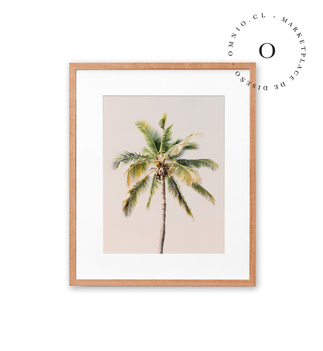 Soft Pink Palmera Cuadro