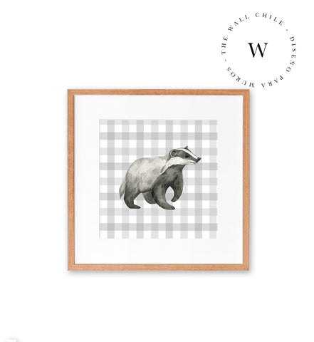 Badger Vichy