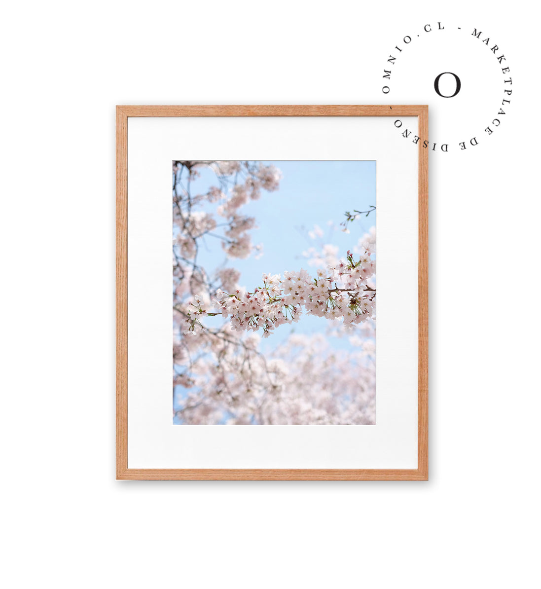 Soft Cerezo II Cuadro