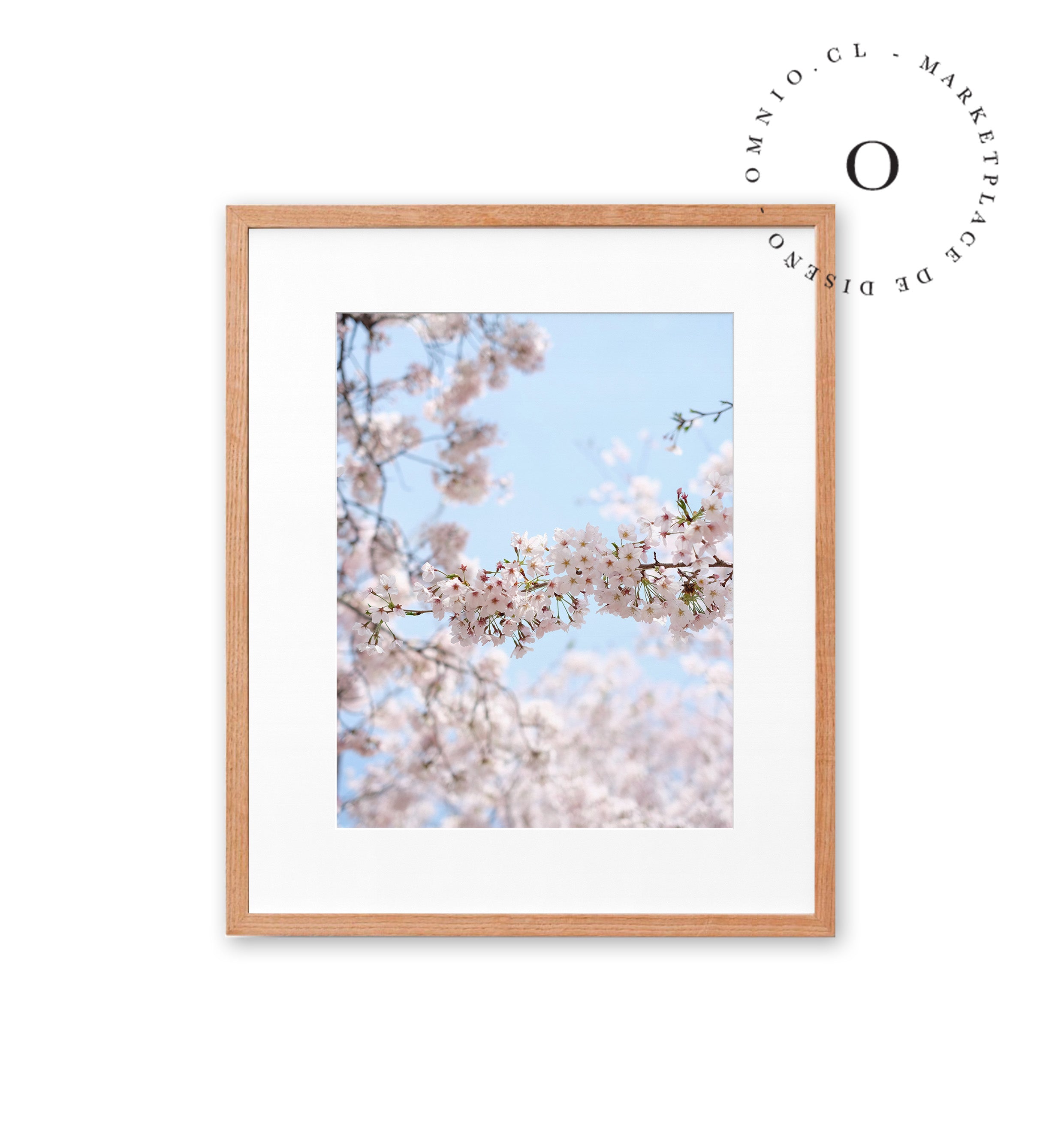 Soft Cerezo II Cuadro