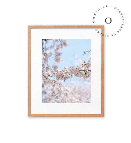 Soft Cerezo II Cuadro