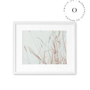 Soft Nature Cuadro