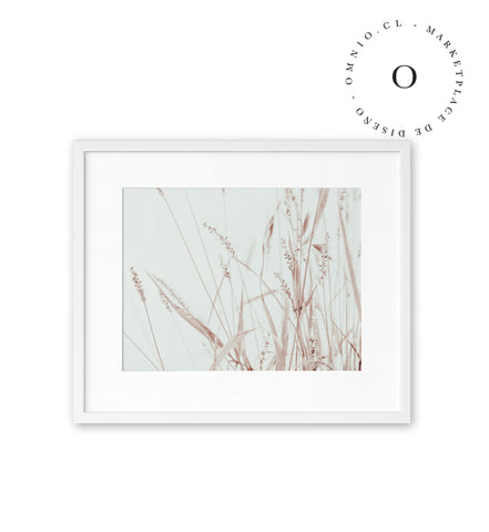 Soft Nature Cuadro