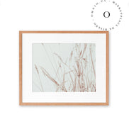 Soft Nature Cuadro