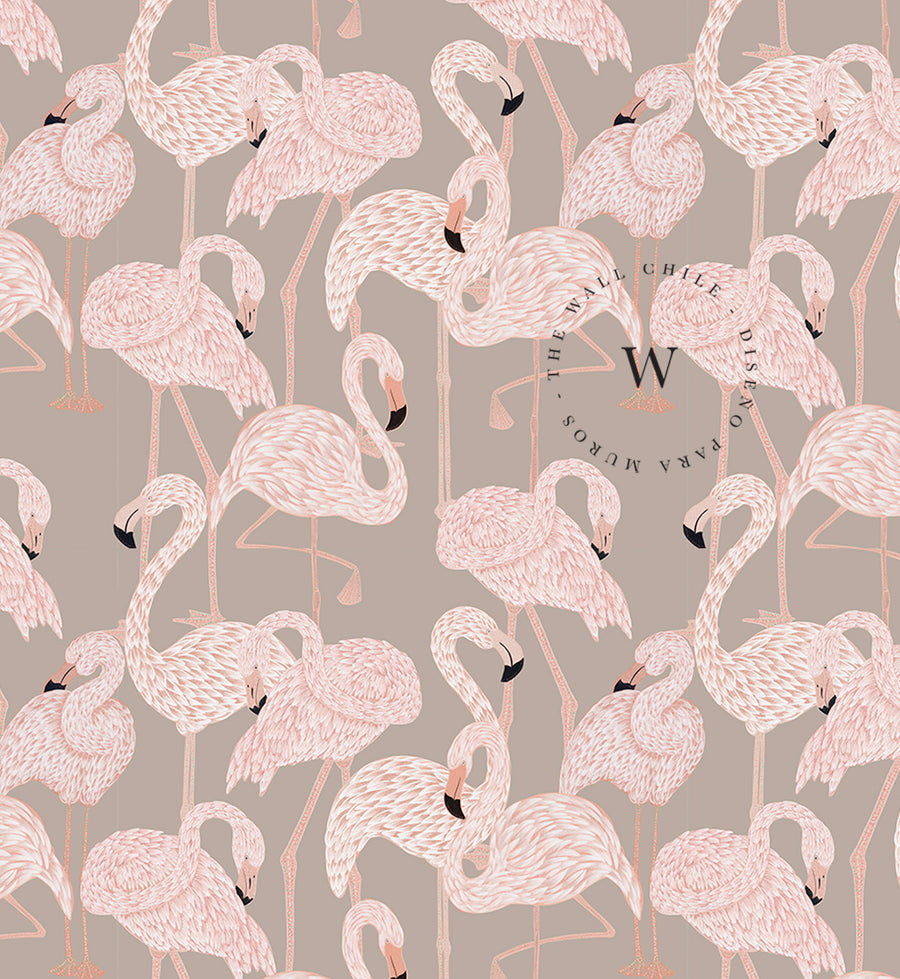 Beige Flamingo
