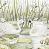 Spectacular Swans