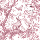 Rabbit Jouy Pink