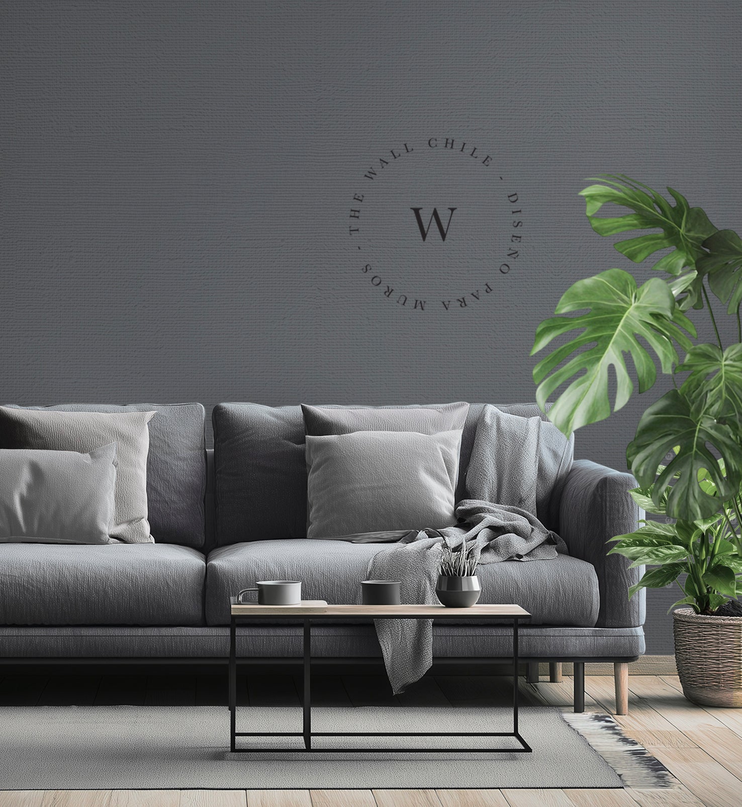 Graphite / The Wall Colors