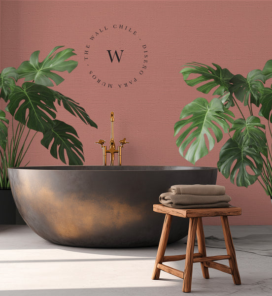 Coral / The Wall Colors