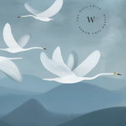 Sky Wings