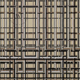 Meridiano Brown / Mónica Véliz