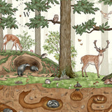 Animals in the Forest