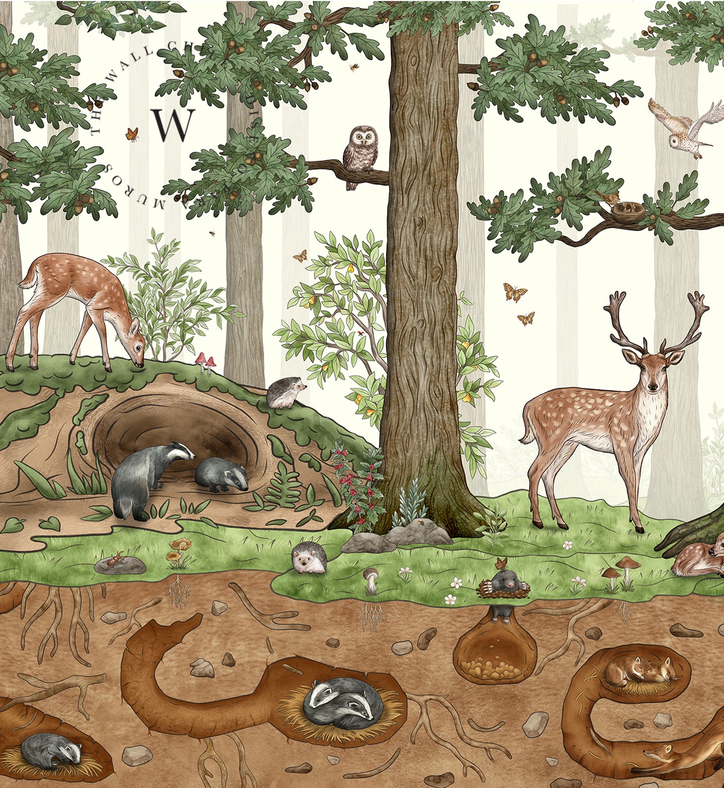Animals in the Forest